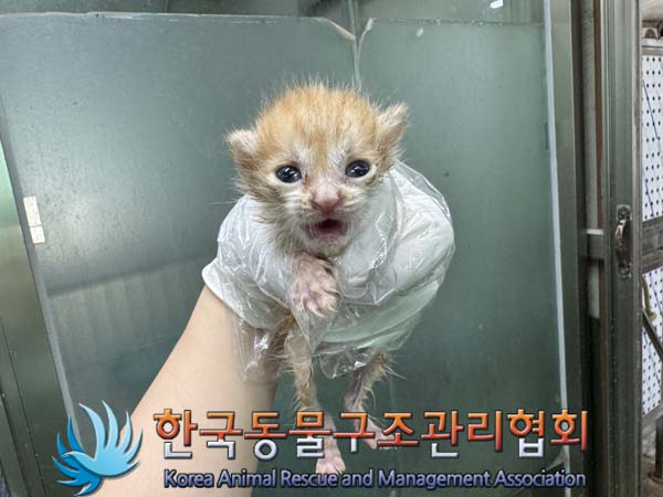 한국동물구조관리협회_411300202400354